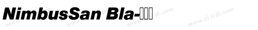 NimbusSan Bla字体转换